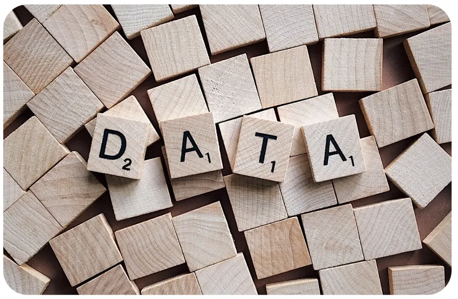 Важность качественных данных для HR и организационного развития