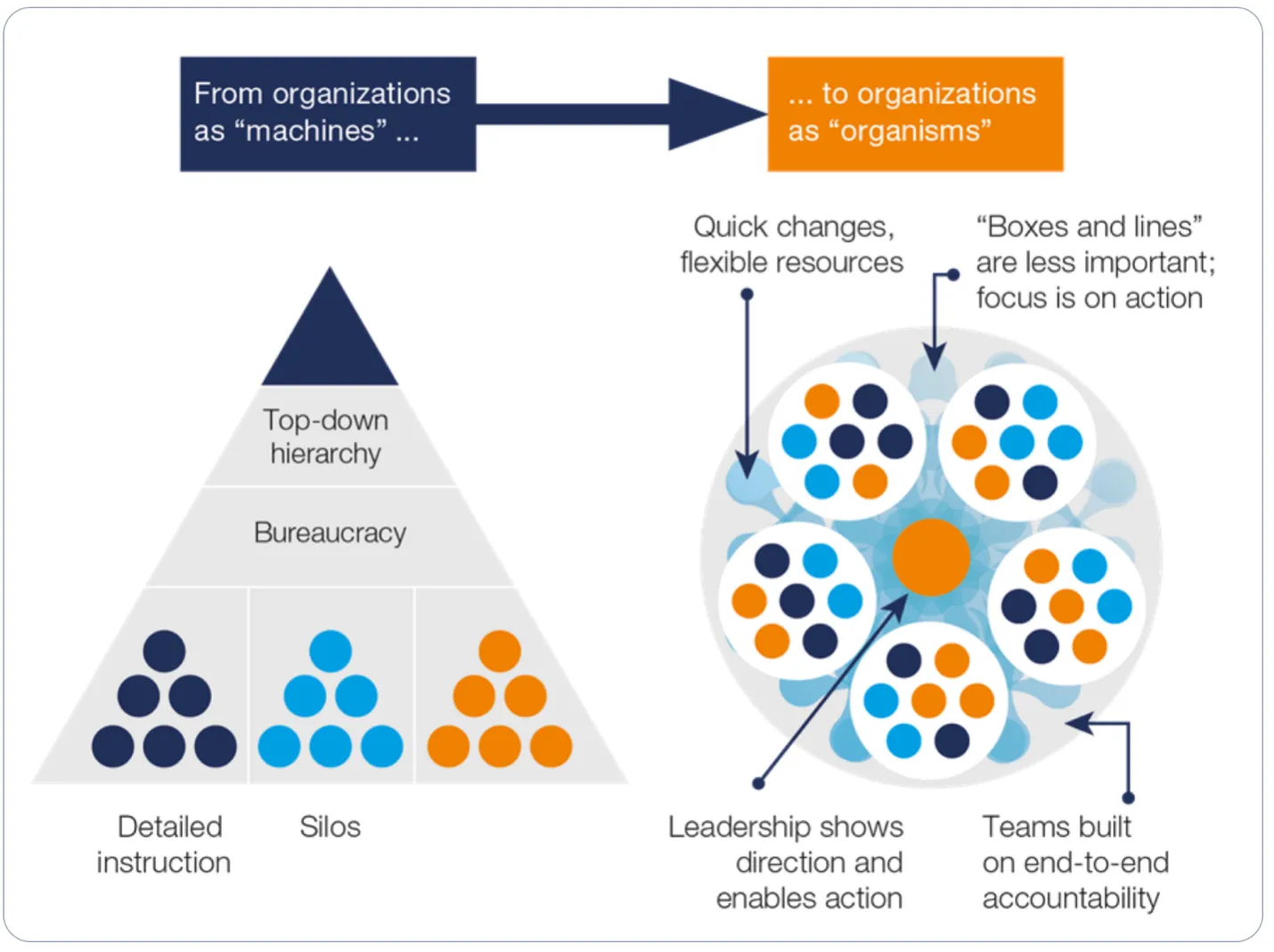 Внедрение гибкости, динамичности и технологий на предприятиях