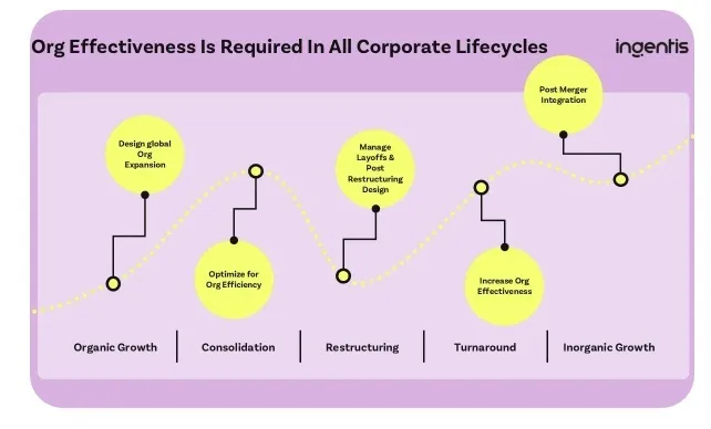 Организационная эффективность: Фактор успеха на каждом этапе жизненного цикла бизнеса